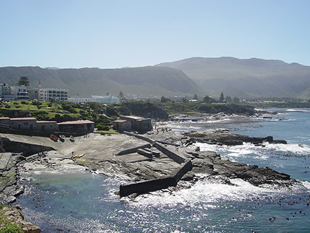 Hermanus
