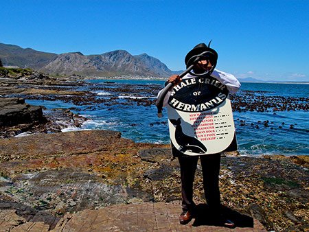 Whale Crier Hermanus
