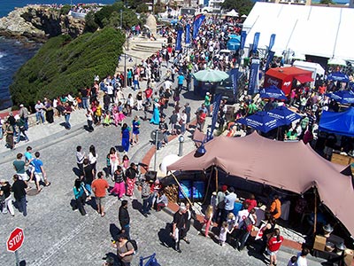 The Two Oceans Hermanus Whale Festival